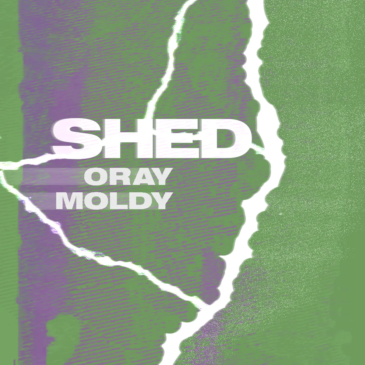 Shed presented by Cure x Standard Time flyer